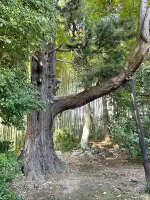 天翁院(栃木県)