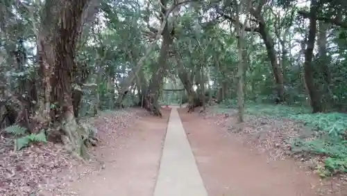 近津神社の建物その他