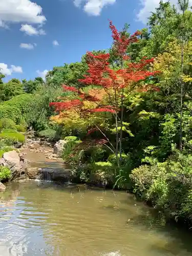 退蔵院の庭園