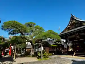 御霊神社(奈良県)(2025年09月07日(日) 08時53分48秒投稿)