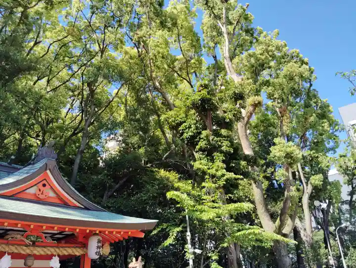生田神社(兵庫県)