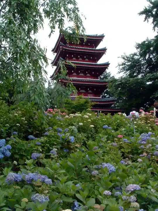 本土寺(千葉県)