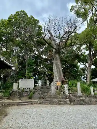 吉祥草寺(奈良県)