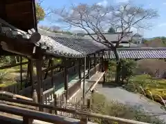 天龍寺の建物その他