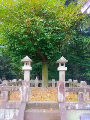 米津神社（米津町）の自然