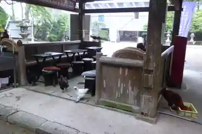 石上神宮のその他建物