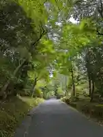 曼殊院門跡(京都府)