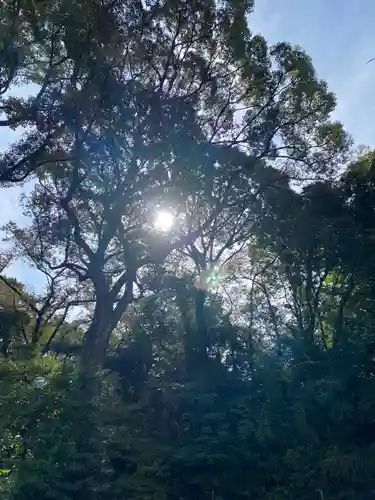 愛知縣護國神社の自然