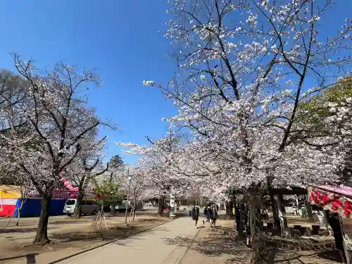 喜多院の{uncategorized: "未分類", other: "その他", undefined: "問題あり", building: "その他建物", grave: "お墓", sacred_gate: "鳥居", guardian: "狛犬", statue: "像", buddha: "仏像", history: "歴史", nature: "自然", garden: "庭園", animal: "動物", pagoda: "塔", temizu: "手水舎", mountain_gate: "山門・神門", sanctuary: "本殿・本堂", subordinate: "末社・摂社", art: "芸術", scenery: "景色", jizo: "地蔵", ema: "絵馬", goshuin: "御朱印", omikuji: "おみくじ", items: "授与品その他", amulet: "お守り", goshuincho: "御朱印帳", eats: "食事", festival: "お祭り", votive_dance: "神楽", shichigosan: "七五三参", wedding: "結婚式", experience: "体験その他", initially: "初詣", around: "周辺", anti_infection: "感染症対策"}