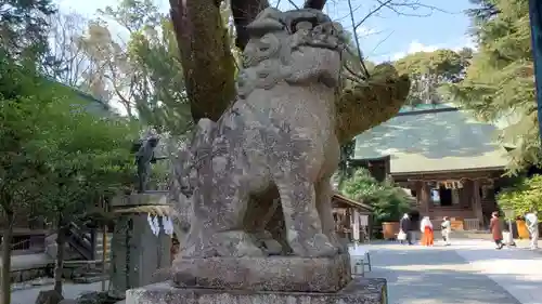 報徳二宮神社の狛犬