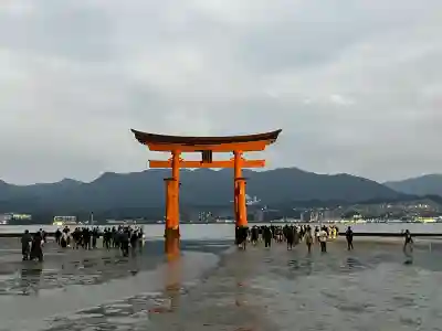 厳島神社(広島県)