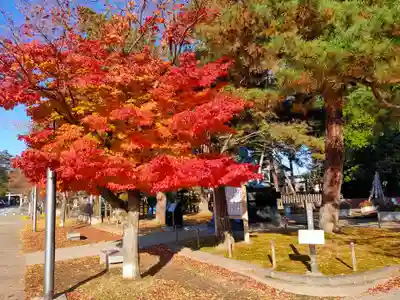 上杉神社(山形県)