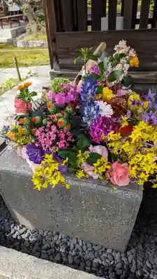 勝林寺(京都府)