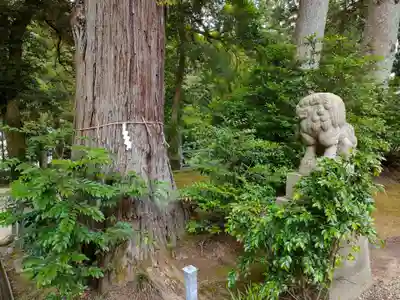 気多神社の自然