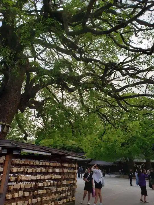 明治神宮(東京都)