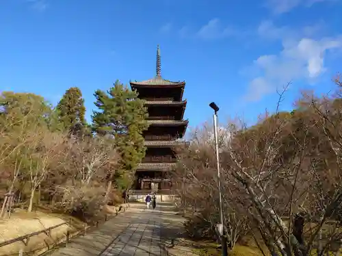 仁和寺の塔