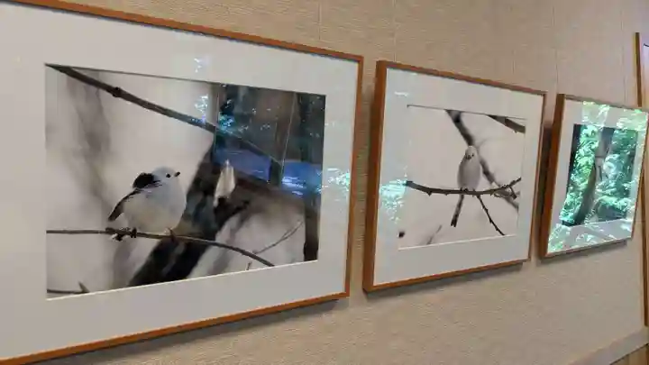 帯廣神社の動物