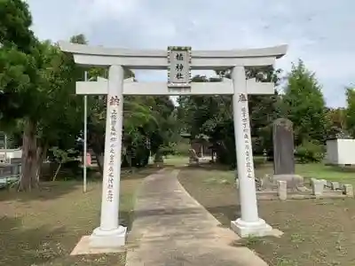 橘神社の鳥居