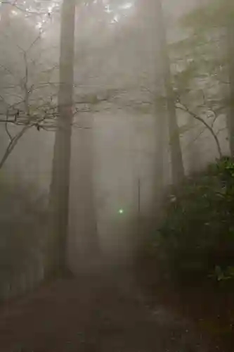 三峯神社(埼玉県)
