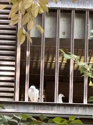 靖國神社(東京都)