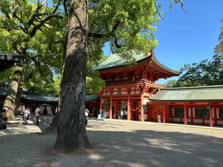 武蔵一宮氷川神社(埼玉県)