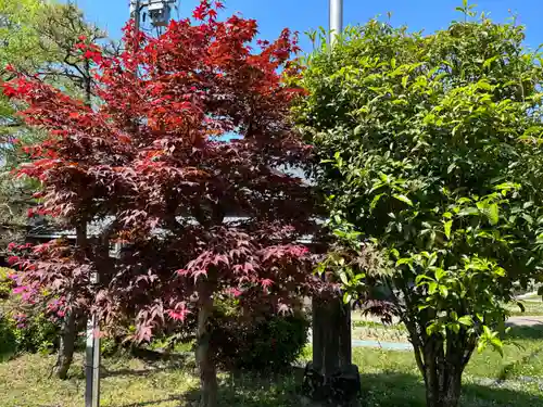 磐座神社の自然