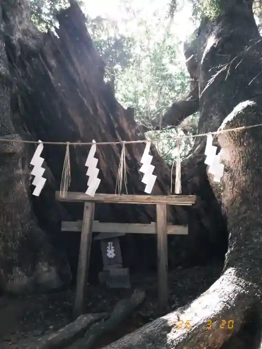 住吉神社の{uncategorized: "未分類", other: "その他", undefined: "問題あり", building: "その他建物", grave: "お墓", sacred_gate: "鳥居", guardian: "狛犬", statue: "像", buddha: "仏像", history: "歴史", nature: "自然", garden: "庭園", animal: "動物", pagoda: "塔", temizu: "手水舎", mountain_gate: "山門・神門", sanctuary: "本殿・本堂", subordinate: "末社・摂社", art: "芸術", scenery: "景色", jizo: "地蔵", ema: "絵馬", goshuin: "御朱印", omikuji: "おみくじ", items: "授与品その他", amulet: "お守り", goshuincho: "御朱印帳", eats: "食事", festival: "お祭り", votive_dance: "神楽", shichigosan: "七五三参", wedding: "結婚式", experience: "体験その他", initially: "初詣", around: "周辺", anti_infection: "感染症対策"}
