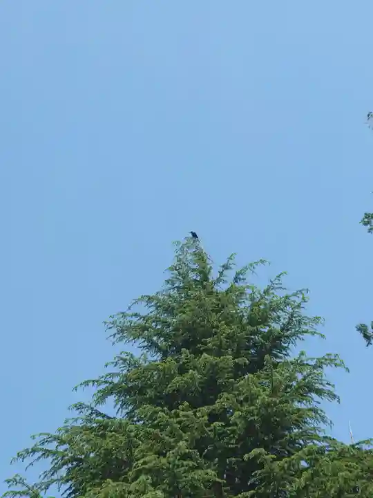 皇子大神(神奈川県)
