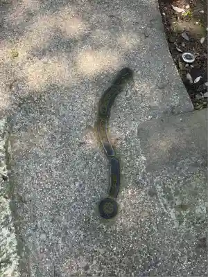 星宮神社(栃木県)