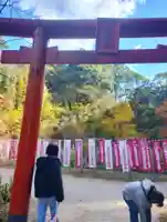 天開稲荷社の鳥居