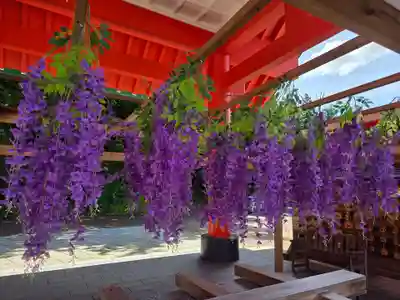 宝徳山稲荷大社(新潟県)