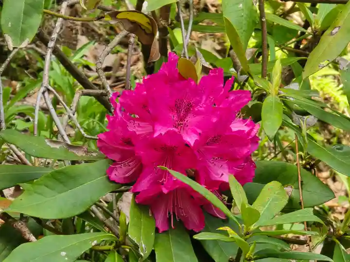 奥の院(菩提院)(奈良県)