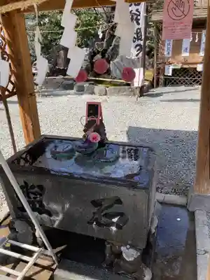 川越熊野神社の手水舎