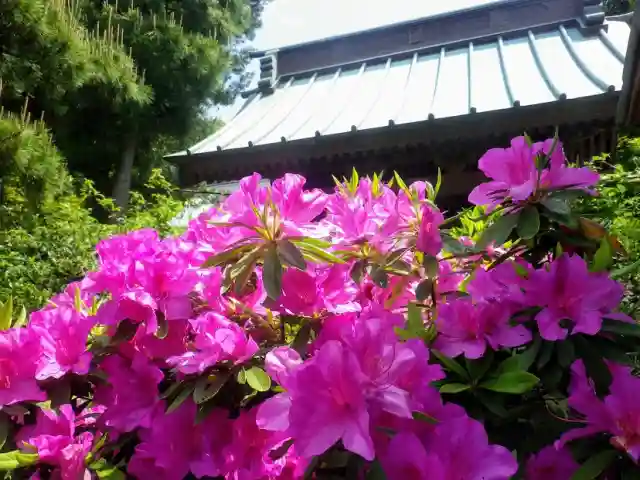 妙法寺のその他建物