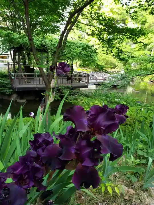 東郷神社(東京都)