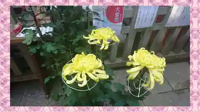 戸越八幡神社(東京都)