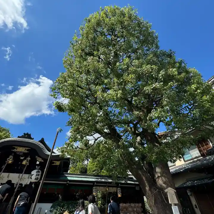 晴明神社(京都府)