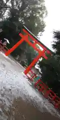 賀茂御祖神社（下鴨神社）(京都府)