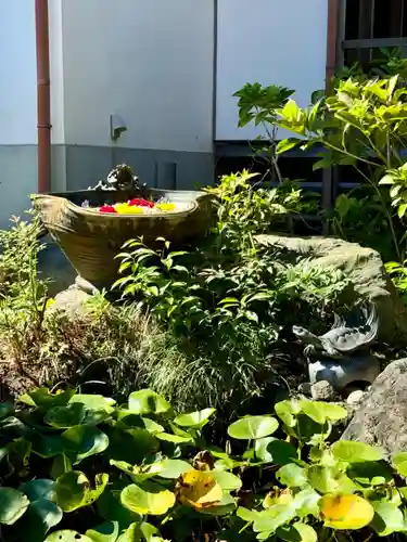 清凉院(京都府)