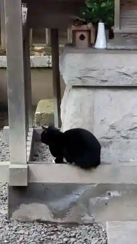 御園神社の動物