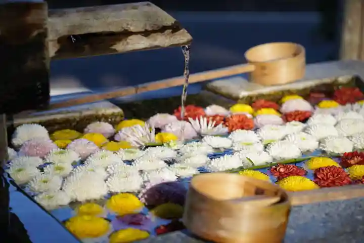 岳温泉神社 の手水舎
