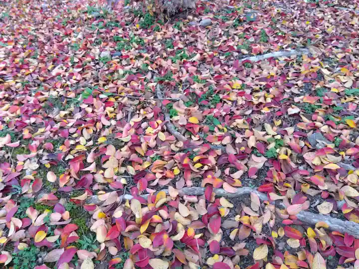 日吉神社(福井県)