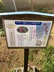 蓮光寺の建物その他