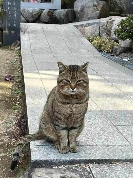 お松大権現の{uncategorized: "未分類", other: "その他", undefined: "問題あり", building: "その他建物", grave: "お墓", sacred_gate: "鳥居", guardian: "狛犬", statue: "像", buddha: "仏像", history: "歴史", nature: "自然", garden: "庭園", animal: "動物", pagoda: "塔", temizu: "手水舎", mountain_gate: "山門・神門", sanctuary: "本殿・本堂", subordinate: "末社・摂社", art: "芸術", scenery: "景色", jizo: "地蔵", ema: "絵馬", goshuin: "御朱印", omikuji: "おみくじ", items: "授与品その他", amulet: "お守り", goshuincho: "御朱印帳", eats: "食事", festival: "お祭り", votive_dance: "神楽", shichigosan: "七五三参", wedding: "結婚式", experience: "体験その他", initially: "初詣", around: "周辺", anti_infection: "感染症対策"}