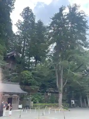 天河大辨財天社(奈良県)