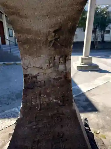 西小松川天祖神社(東京都)