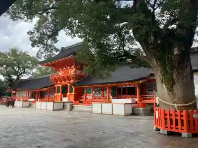 宇佐神宮(大分県)