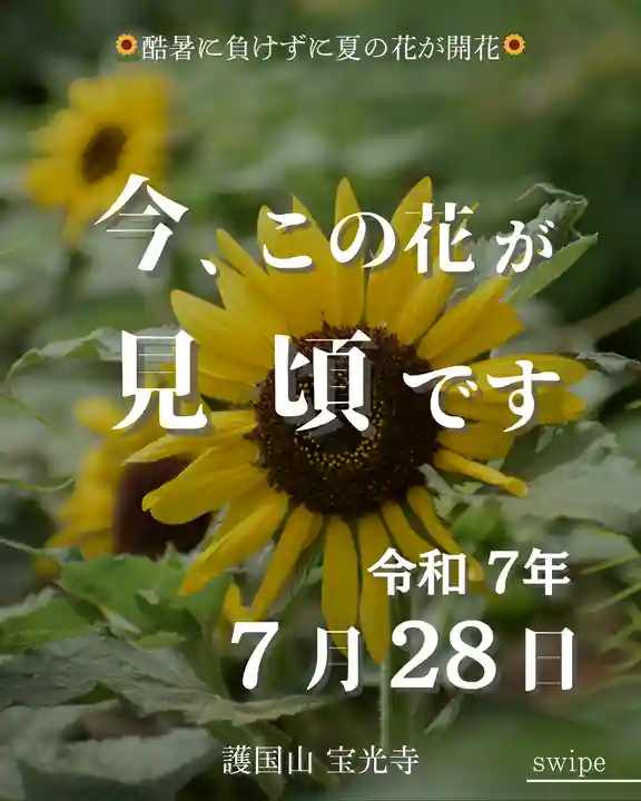 宝光寺(北海道)