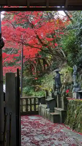 柳谷観音　楊谷寺(京都府)