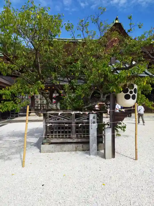 北野天満宮(京都府)